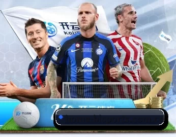 home-bisports.com.cn的故事
